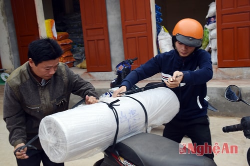 Bà con nong dân Tân Kỳ chủ động chuẩn bị ni lông che phủ chống rét cho mạ.