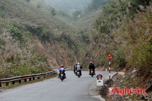 Có đoạn, hành khách đi qua những rừng lau bạt ngàn đang đung đưa trong gió như làm duyên.