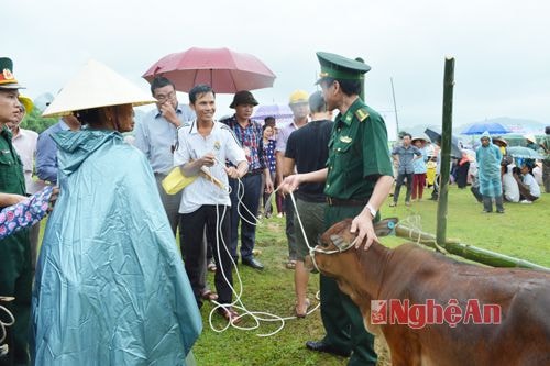 Bộ chỉ huy BĐBP tỉnh trao bò cho hộ nghèo ở Con Cuông