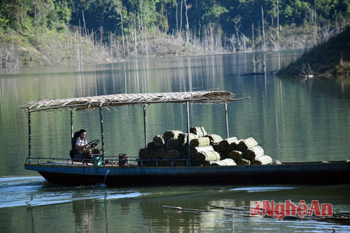 Những chiếc thuyền sắt chở đầy lùng từ thượng nguồn sông Chu ra bến.