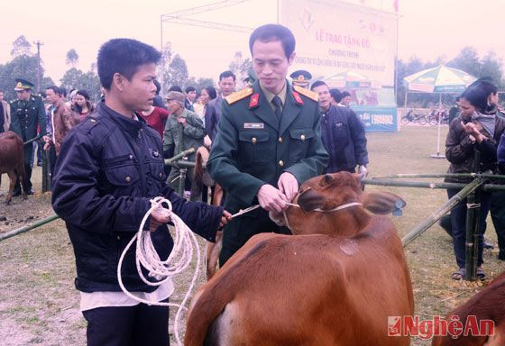 Lãnh đạo chi nhánh Viettel Nghệ An tặng bò cho hộ nghèo