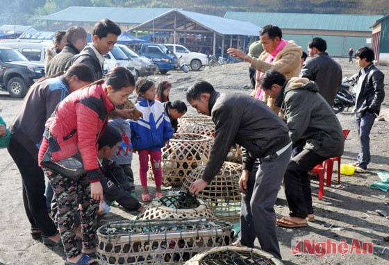 Mặt hàng được nhiều người tìm mua mỗi khi đi chợ biên chính là gà đen, mặt hàng này có chừng nào bán hết chừng ấy.