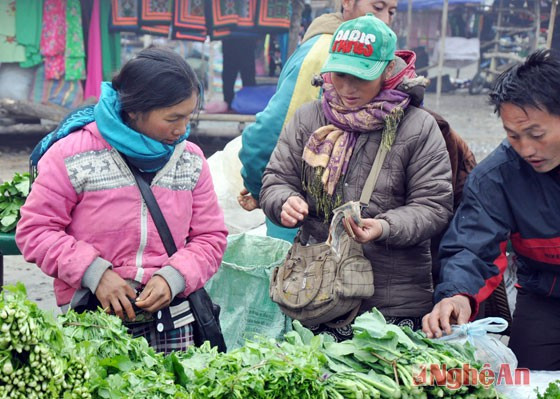 Những bó cải Mông cũng được nhiều người tìm mua. 