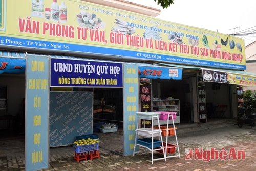 HTX Phát triển tam nông, chuyên sản xuất kinh doanh sản phẩm nông nghiệp sạch hiện tại có 2 gian hàng giới thiệu, bán sản phẩm nông nghiệp sạch tại TP.Vinh.Hiện tại HTX có 2 gian hàng tại 24 Đinh Lễ và 22 Lê Hồng Phong, đi vào hoạt động từ cuối năm 2014, với các mặt hàng chính rà rau, củ, quả được sản xuất theo công nghệ VietGAP. Trong ảnh là gian hàng tại số 24 - Lê Hồng Phong 