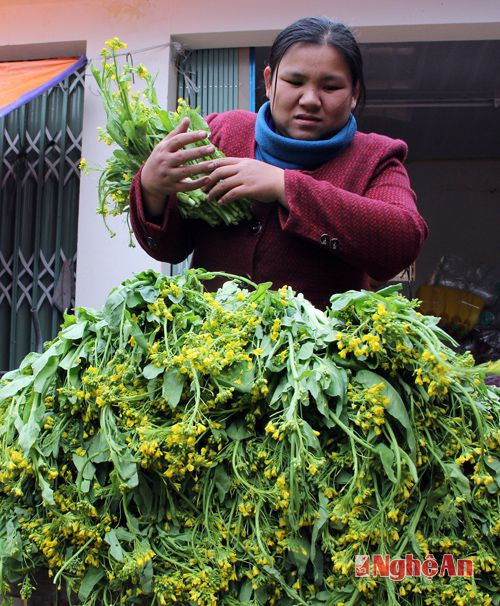 Rau cải Mông luôn là thứ được người dân vùng cao ưu tiên chọn lựa trong mùa đông. Thứ rau này cũng luôn được nhiều khách miền xuôi  tìm mua mỗi khi có dịp.