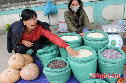 Nếp rẫy dẻo thơm là thứ được lựa chọn hàng ngày. Nếp được dùng để hông xôi, nấu rượu và gói bánh.