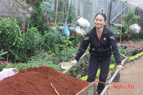 Ở Thí Nghiệm ngoài cung cấp hoa họ còn chuẩn bị cả đất để  người mua hoa đem đất về trồng tại vườn nhà mình.