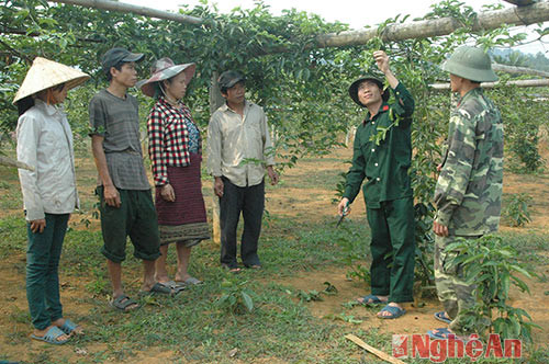 Cán bộ, nhân viên Đoàn Kinh tế - Quốc phòng 4 hướng dẫn bà con xã Trị Lễ, Quế Phong kỹ thuật chăm sóc chanh leo