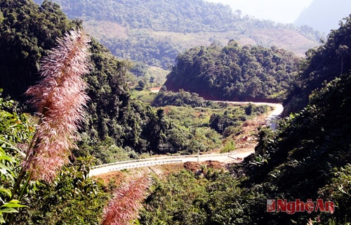 Đường Tây Nghệ An
