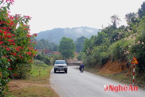Qua các bản làng, cây hoa lá nở đỏ hai bên đường Nậm Cắn.