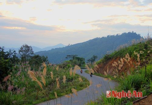 Con đường liên xã nối Hòa Bình – Yên Na - Yên Tĩnh (huyện Tương Dương) ghi dấu ấn cho những ai đi qua đỉnh dốc Vẽ. Mùa đông những đồi hoa lau tạo nên một dải uốn quanh theo con đường làm nức lòng những ai đi qua.