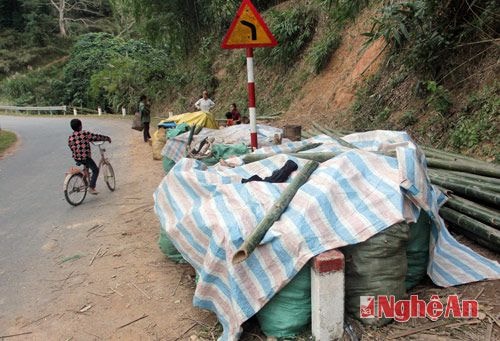 Hiện nay, việc chuyển chở sắn và những nông, lâm sản trên địa bàn xã Yên Thắng đã dễ dàng hơn nhờ có quốc lộ 48C qua địa bàn.