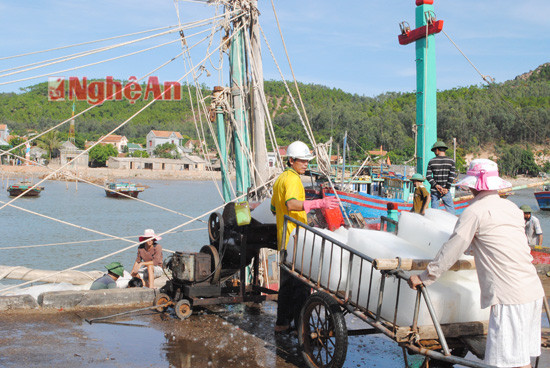 Ngư dân Quỳnh Long mua đá lạnh 