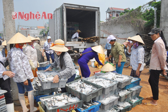 Cá được bảo quản theo công nghệ truyền thống được đưa lên bán tại bến cá Quỳnh Lập