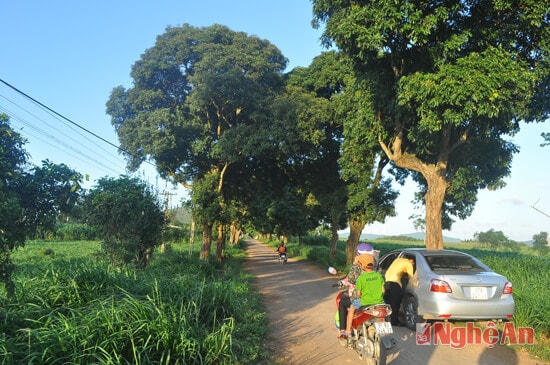 Chiều về trên đường quê Nông thôn mới xóm Đông Thành, Đông Hiếu