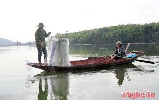 Du thuyền trên hồ, thi thoảng bắt gặp những người làm nghề đánh cá đang mải miết với chài lưới. Nghề mưu sinh này đem về nguồn thu không nhỏ.