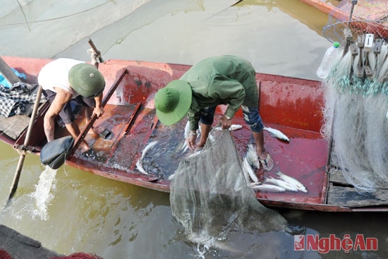 Hồ Tràng Đen khá dồi dào nguồn thủy sản, đây là 