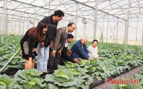 Ngài đại sứ thăm quy trình trồng rau sạch và cho biết, người dân Nga rất thích ăn cải bắp, hy vọng rằng tập đoàn sẽ nhanh chóng đầu tư quy trình sản xuất rau vào Nga.