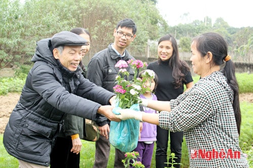 Nhiều gia đình đến tham quan làng hoa Kim Chi (Nghi Ân) quyết định mua hoa tại vườn. Ảnh Nguyên Sơn