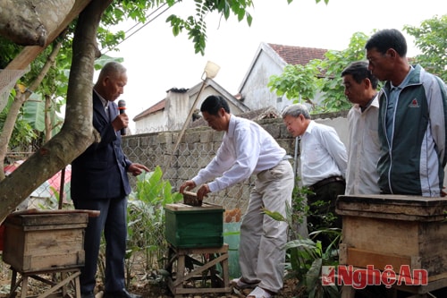 Chủ tịch CLB thuyết trình kỹ thuật chăm sóc đàn khi ong tích mật.