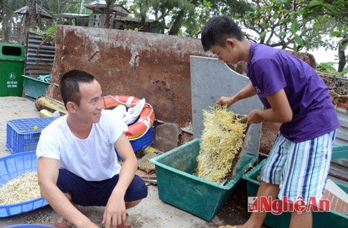 Rau xanh rất quý và luôn thiếu. Cán bộ, chiến sỹ trên đảo thường ươm giá đỗ trên bao gai, bảo tải để tăng chất lượng bữa ăn.