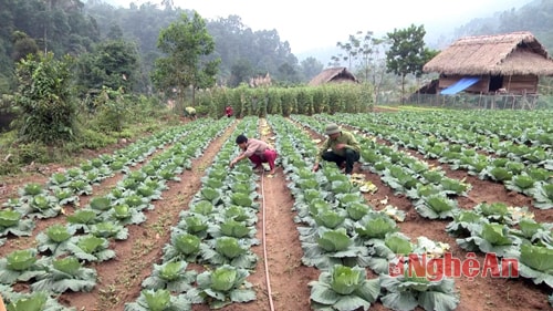 Nhờ làm tốt công tác kiểm tra giám sát nên đội ngũ cán bộ đảng viên đã tích cực bám cơ sở giúp dân tăng cường nhân rộng các mô hình trang trại, gia trại, phát triển kinh tế xóa đói giảm nghèo.