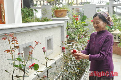 Bà Trần Thị Hùng - ở khu đô thị mới Vinh Tân cho biết: Gia đình bà năm nay 