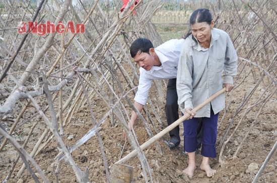 Anh Nguyễn Văn Quyền - Cán bộ Bảo vệ thực vật xã Vân Diên cho biết: 