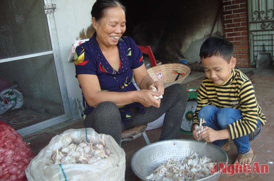 Một trong những nguyên liệu quan trọng làm nên gia vị của bánh đa Dinh Chu là tỏi, ớt tiêu và một số bí quyết gia truyền khác.