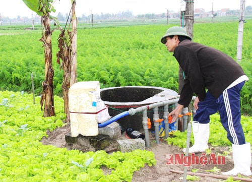 Mỗi hệ thống máy bơm lại có nhiều vòi nước để tưới cho nhiều diện tích rau khác nhau. 