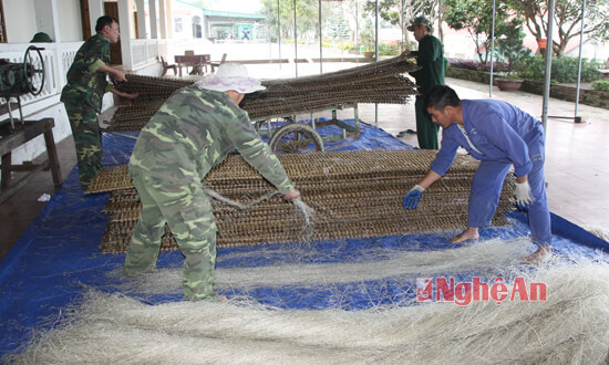 Sản xuất miến dong - sản phẩm tăng gia chủ lực của Đoàn Kinh tế Quốc phòng 4 