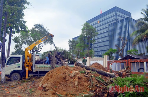 Ngoài công tác tuyên truyền bằng cờ, pa nô, công tác chỉnh trang đô thị trên địa bàn TP Vinh cũng đang được triển khai khẩn trương. Ảnh, công nhân Công ty Cây xanh Nghệ An chỉnh trang vỉa hè đường Trường Thi, TP Vinh.