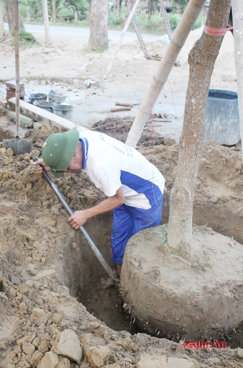 Đưa cây lên chở đi bán cho khách