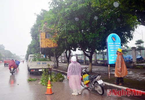 Những ngày qua, mặc dù TP Vinh trời mưa liên tục nhưng công nhân cây xanh vẫn làm việc để đảm bảo mỹ quan cho thành phố.