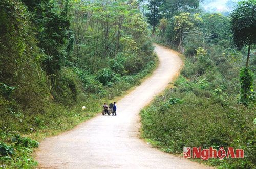 Con đường đã được mở, hàng ngày trẻ em Phá Đáy đạp xe đến trường ở vùng trung tâm xã. Con đường này cũng hứa hẹn giúp bà con phát huy nội lực và lợi thế về tài nguyên đất màu mỡ để vươn lên thoát nghèo.