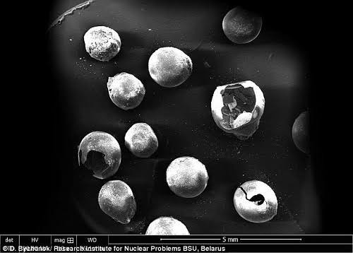  Quả cầu carbon rỗng từ kính hiển vi quét điện tử. Ảnh: D. Bychanok
