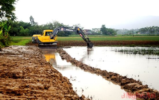 Thực hiện dồn điển đổi thửa ở xã Xuân Hòa (Nam Đàn).Ảnh: Phạm Bằng