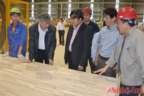 Lãnh đạo doanh nghiệp và huyện Nghĩa Đàn khảo sát, trao đổi về hiệu quả dự án sản xuất trên địa bàn.