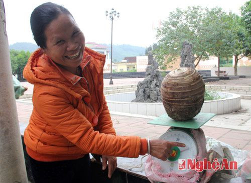 Củ khoai sọ khổng lồ này đang thuộc quyền sở hữu của bà Cầm Thị Luân, một lái buôn gần khu vực chợ Thị trấn Kim Sơn.