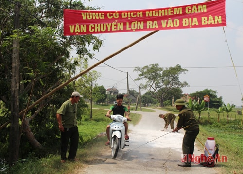 Phun hóa chất khử trùng phương tiện ra vào vùng dịch