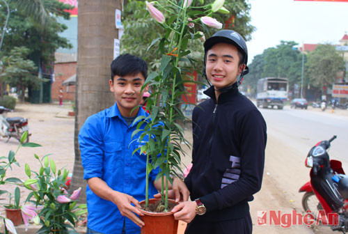 Nhiều người dân Thị xã Thái Hòa đã đến mua hoa ly để ủng hộ nông dân địa phương.
