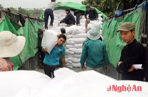 Trong chương trình này, toàn huyện Quế Phong tiếp nhận và phát cho người dân hơn 450 tấn gạo. Đây là gạo cứu đói dịp tết Bính Thân 2016.