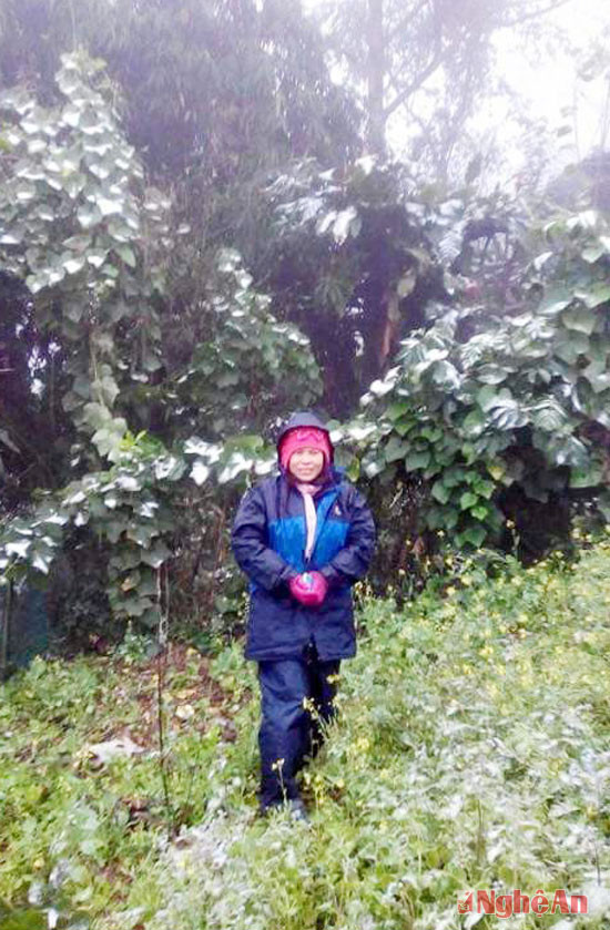 Cô Nguyễn Linh Phương, Hiệu trưởng Trường Tiểu học Nậm Cắn tại điểm tuyết rơi xã Nậm Cắn, huyện Kỳ Sơn.