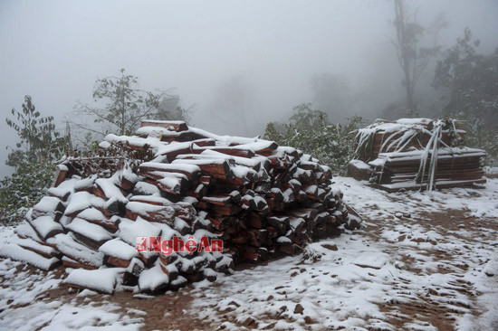 Tuyết bắt đầu rơi từ chiều ngày 24/1 ở nhiều xã miền núi Nghệ An 
