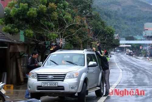 Những xế hộp miền xuôi lên tận phố huyện Mường Xén (Kỳ Sơn) để mua đào về xuôi trưng tết.