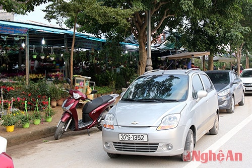 Dù đã xế chiều nhưng các hàng hoa vẫn khá nhộn nhịp