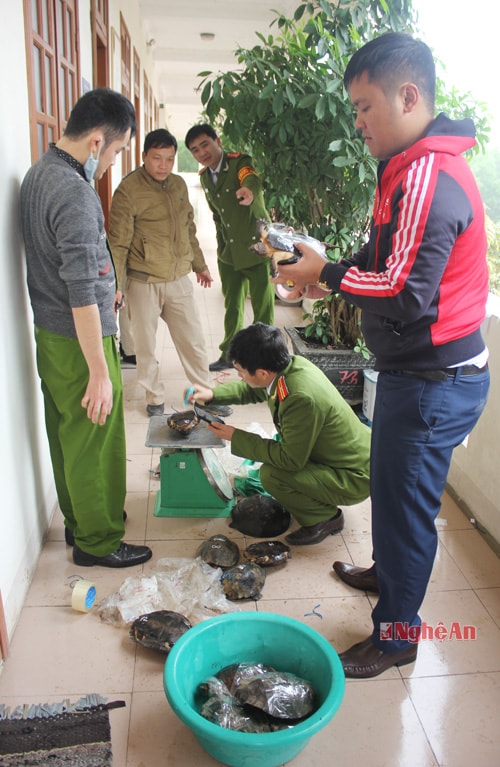 Số tang vật đang được cơ quan chức năng kiểm tra, niêm phong