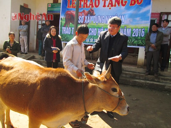 Cũng trong dịp này đoàn công tác của sở Xây dựng tỉnh đã trao 6 con bò cái sinh sản cho 6 hộ gia đình nghèo có hòan cảnh đặc biệt khó khăn trên địa bàn xã, Trị giá mỗi con từ 9 đến 10 triệu đồng. 