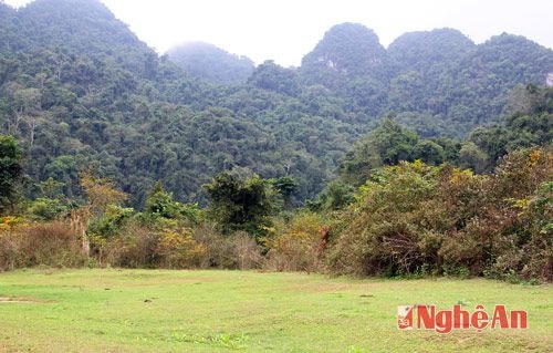 Dưới chân núi có những bãi đất trống khá bằng phẳng, là địa điểm lý tưởng để cắm trại và tổ chức các hoạt động vui chơi.