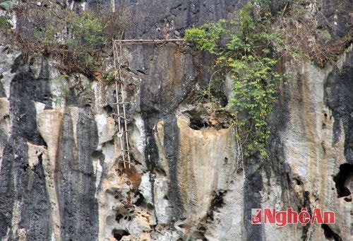 Trên vách núi dựng đứng vẫn còn treo chiếc thang bằng tre, nứa của người dân địa phương dùng để lấy mật ong.